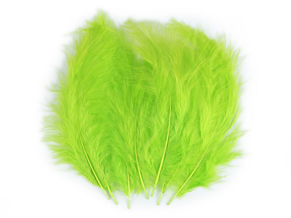 Premium Assorted Ostrich Feathers (9-16 cm, 20-Pack) – High-Fluff Decorative Feathers for Crafts, Floristry, and Fashion Accessories