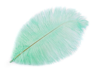Premium Ostrich Feathers (20-25 cm) - Natural Fluffy Plumage for Crafts, Weddings, and Costumes
