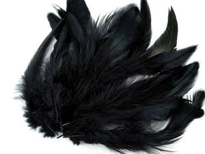 Premium Natural Hen Feathers (6–20 cm) for Crafts, DIY Projects, and Floral Design
