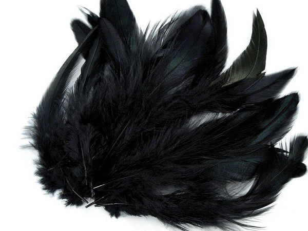 Premium Natural Hen Feathers (6–20 cm) for Crafts, DIY Projects, and Floral Design