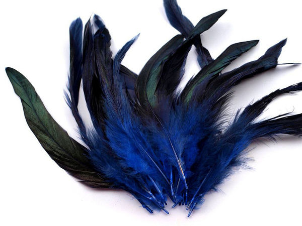 Premium Natural Hen Feathers (6–20 cm) for Crafts, DIY Projects, and Floral Design