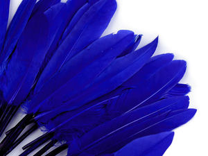 Premium Decorative Duck Feathers (9-14 cm) - 20-Pack for Crafts, DIY, and Home Decor