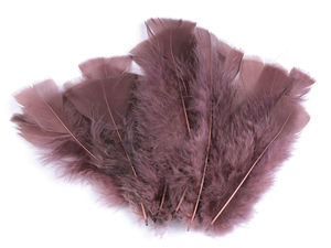 Premium Decorative Turkey Feathers (11-17 cm, 20-Piece Pack) – High-Quality Craft Feathers for Fascinators, Costumes, and Floral Arrangements
