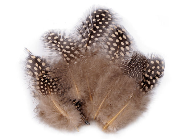 Premium Decorative Hen Feathers (5-13cm) - Natural Mottled Feathers for Crafts, Floral Arrangements, and Jewelry Making, 20-Pack