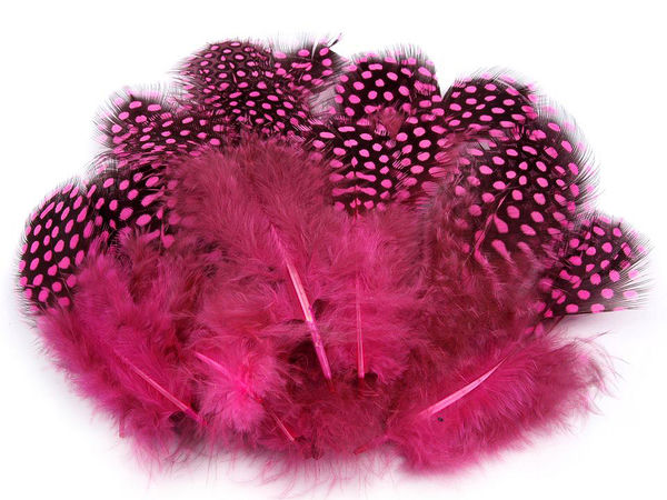 Premium Decorative Hen Feathers (5-13cm) - Natural Mottled Feathers for Crafts, Floral Arrangements, and Jewelry Making, 20-Pack