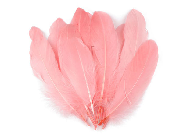 Premium Decorative Goose Feathers (12-21 cm) - Assorted Colors for Crafts, Costumes & Floral Design