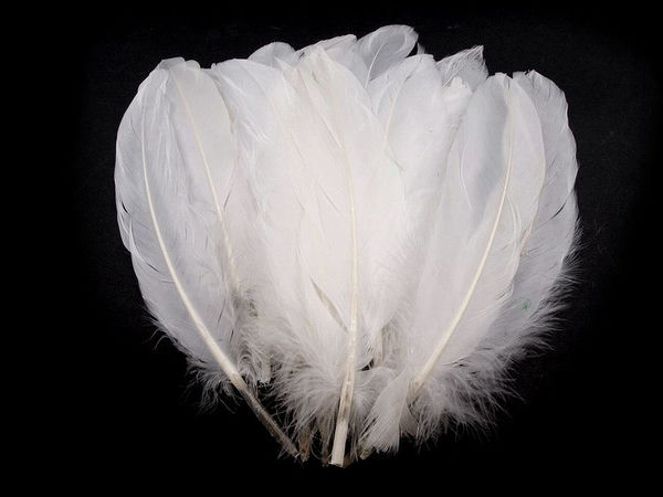 Premium Decorative Goose Feathers (12-21 cm) - Assorted Colors for Crafts, Costumes & Floral Design
