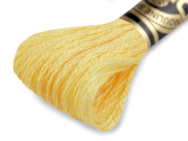 DMC Mouliné Spécial Premium Cotton Embroidery Thread - 6-Strand Floss for Cross-Stitch and Needlecraft