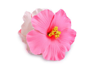 Hibiscus Flower Hair Claw Clip - Premium Floral Mini Hair Claws with Non-Slip Grip