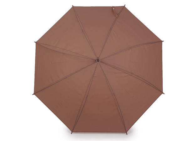 Elegant Women's Auto-Open Stick Umbrella - Translucent Dome Canopy, Windproof 8-Rib Frame