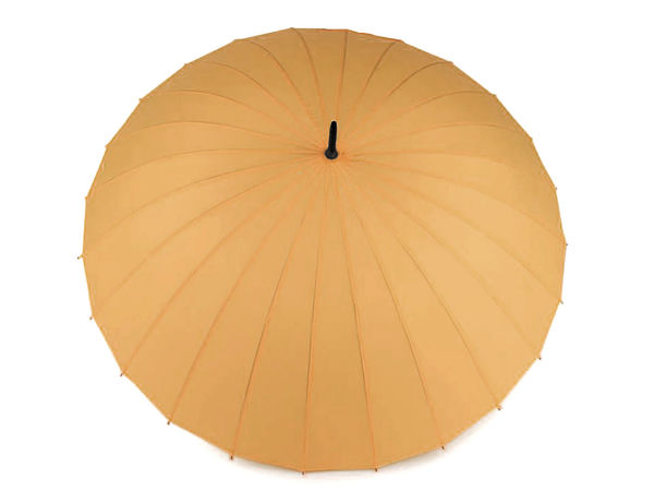 Premium Ladies Color-Changing Floral Stick Umbrella - Windproof 24-Rib Water-Activated Magic Rain Umbrella