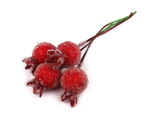 Frosted Red Artificial Rosehip Berries on Wire Stems for DIY Crafts, Autumn Wreaths, and Floral Arrangements