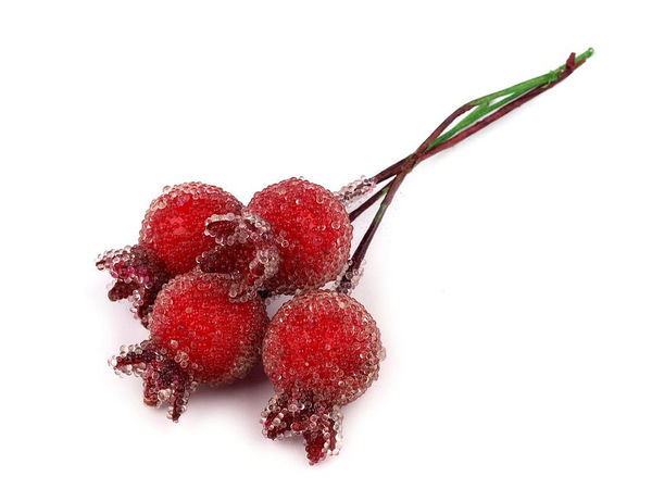 Frosted Red Artificial Rosehip Berries on Wire Stems for DIY Crafts, Autumn Wreaths, and Floral Arrangements