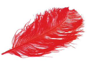 Premium Large Ostrich Feathers (60cm) for Decor, Costumes, and Events