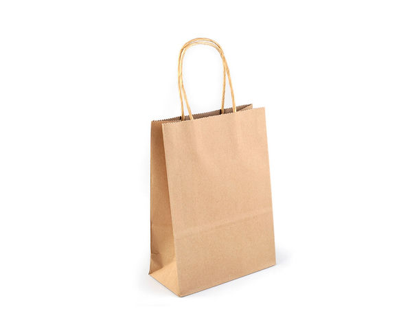 Premium Natural Brown Kraft Paper Gift Bag (16x22 cm) - High-Strength Coated DIY Craft Bag with Twisted Handles