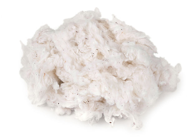 Premium Organic Cotton Stuffing - 100% Unbleached Hypoallergenic Fiber Fill for Pillows, Dolls, Toys & Pet Beds (500g)