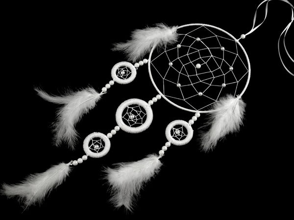 Premium DIY Dream Catcher Craft Kit - Complete Creative Set with 20cm Wooden Hoop, Rings, Beads, and Feathers