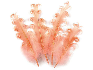 Premium Curly Goose Feathers (12-18 cm) for Crafts, Millinery, Floral Arrangements & Costumes