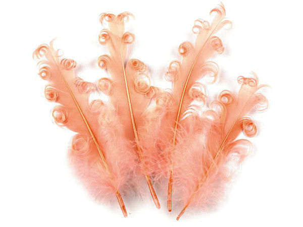 Premium Curly Goose Feathers (12-18 cm) for Crafts, Millinery, Floral Arrangements & Costumes