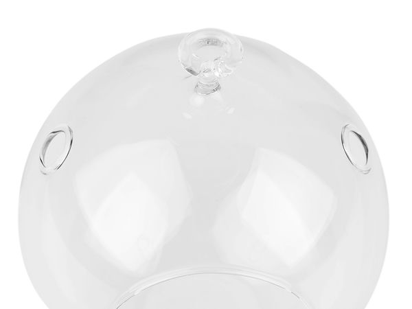 Premium Hanging Glass Globe Terrarium & Aerium (12cm) - Clear Glass Plant Hanger and Decorative Display Orb