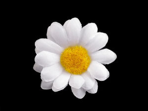 White Artificial Daisy Flower Heads (4cm) for Floral Crafts, Wreaths, and Hair Accessories