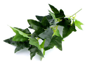 Premium Artificial Hanging Ivy Foliage - 5-Branch Faux Greenery Cluster for Floral Arrangements, Wreaths & Wedding Decor