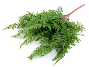 Lifelike Artificial Fern Twigs for Wreaths, Floral Arrangements & Ikebana - Craft-Grade Seconds