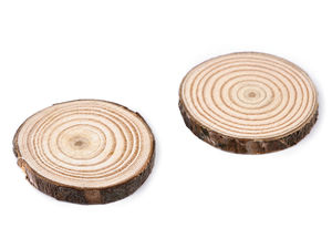 Natural Wood Slices with Bark - 8-Pack Unfinished Wooden Circles (Ø2.5-4.5 cm) for DIY Crafts, Painting, and Decoupage
