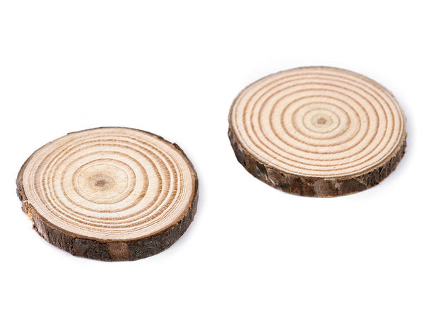 Natural Wood Slices with Bark - 8-Pack Unfinished Wooden Circles (Ø2.5-4.5 cm) for DIY Crafts, Painting, and Decoupage