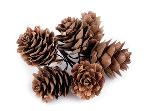 Natural Pine Cones on Flexible Florist Wire - Premium Decorative Accents for Wreaths, Floral Arrangements, and Holiday Crafts