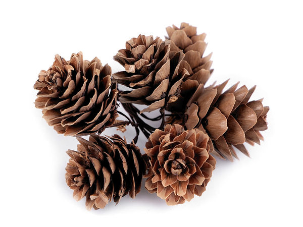 Natural Pine Cones on Flexible Florist Wire - Premium Decorative Accents for Wreaths, Floral Arrangements, and Holiday Crafts