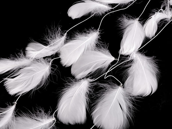 Premium White Feather Garland - Ethereal Decorative Trim for Weddings, Christmas, and Crafts