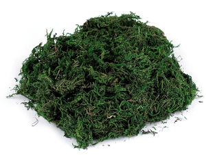 Premium Natural Decorative Moss 50g - Green Preserved Florist Moss for Crafts, Wreaths, and Home Decor