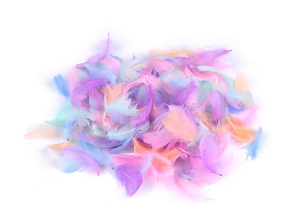 Premium Pastel Goose Feathers Mix for Crafts, Dream Catchers, and DIY Decor - 250-Piece Pack