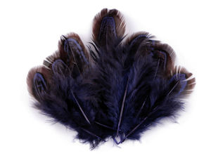 Premium Pheasant Feathers (5-7 cm) for Crafts, Millinery, and Decorating