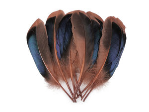 Premium Natural Duck Feathers for Crafts, Costumes, and Decor (13-15 cm, 20-Pack)
