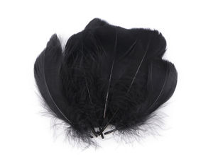 Premium Ostrich Feathers (6-11 cm) – 20-Piece Pack for Crafts, Florals, and Weddings