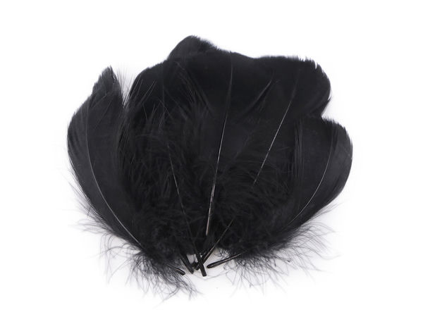 Premium Ostrich Feathers (6-11 cm) – 20-Piece Pack for Crafts, Florals, and Weddings