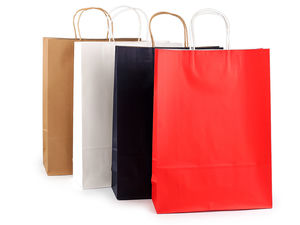 Premium Kraft Paper Gift Bags with Durable Twisted Handles | Multi-Purpose Retail, DIY Crafts & Customizable Corporate Branding Bags