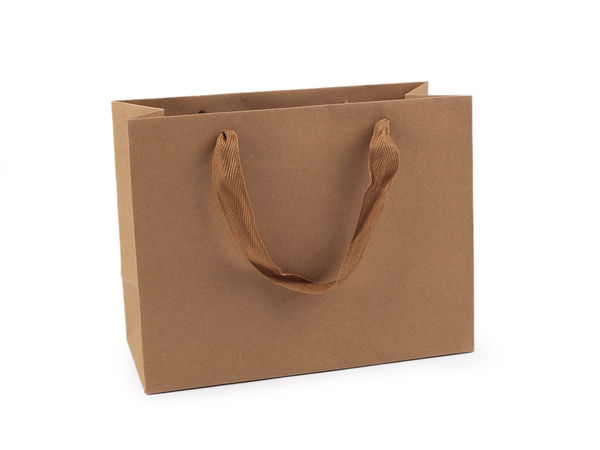 Premium Natural Kraft Paper Gift Bag with Ribbon Handles (23 x 17.5 cm) - Customizable Craft & Corporate Goody Bag