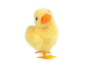 Decorative Plush Easter Duckling for Wreaths, Spring Craft Arrangements & DIY Holiday Decor