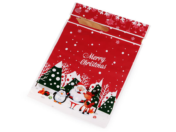 Christmas Drawstring Gift and Candy Bags with Satin Ribbon, Matte Semi-Transparent Goodie Bags (23 x 33 cm)