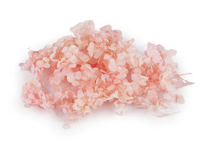 Premium Preserved Hydrangea Blooms - Natural Stabilized Flowers for Floral Arrangements, Weddings & Crafts