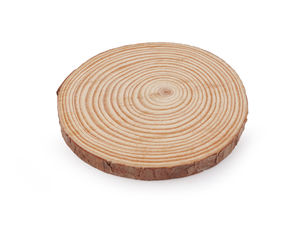 Premium Unfinished Wood Slice with Natural Bark, 12cm – Rustic Blank Wooden Round for Painting, Decoupage, and DIY Craft Coasters