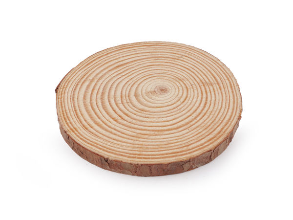 Premium Unfinished Wood Slice with Natural Bark, 12cm – Rustic Blank Wooden Round for Painting, Decoupage, and DIY Craft Coasters
