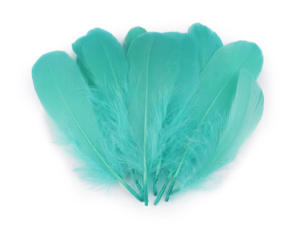 Premium Decorative Goose Feathers (14-18 cm) - Natural Craft Feathers for Millinery, Costumes, and Floral Arrangements