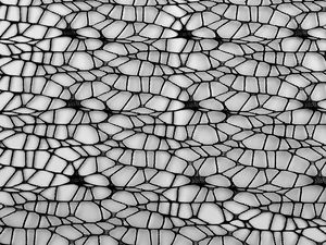 Premium Cobweb Decorative Fabric Mesh - Structured Web Fabric for Weddings, Crafts, and Thematic Event Decor