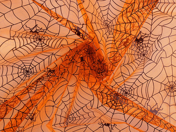 Premium Cobweb Pattern Organza Fabric - Semi-Stiff Decorative Mesh for Halloween, Cosplay, and Event Decor