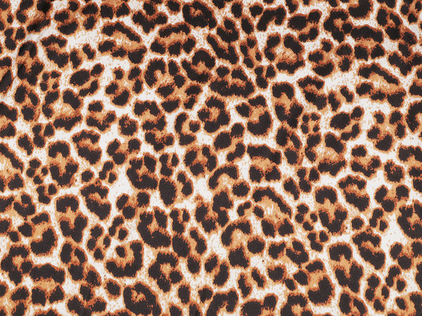 Premium Elastic Animal Print Satin Fabric - Stretch Dressmaking & Apparel Material