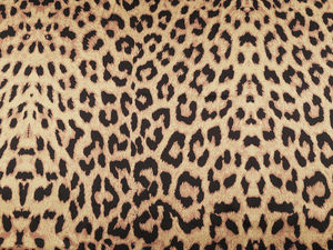 Premium Elastic Animal Print Satin Fabric - Stretch Dressmaking & Apparel Material